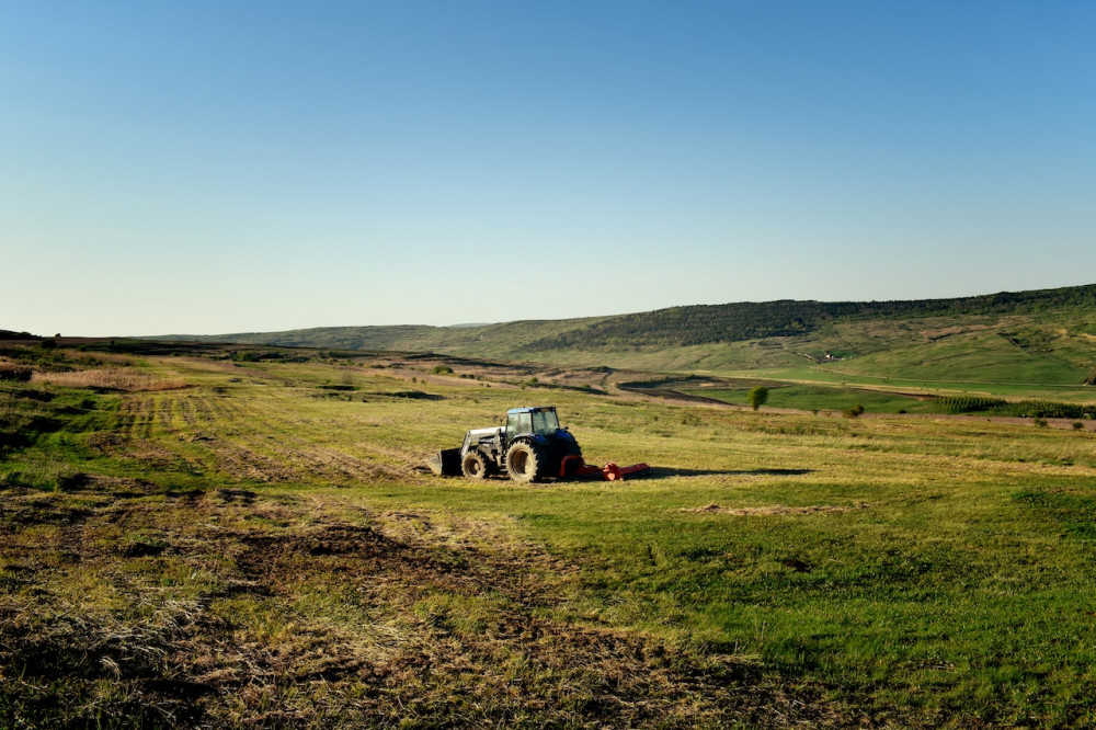 One third of global warming gases in Dorset are estimated to be generated by farming (photo credit: RGR G, Pexels)