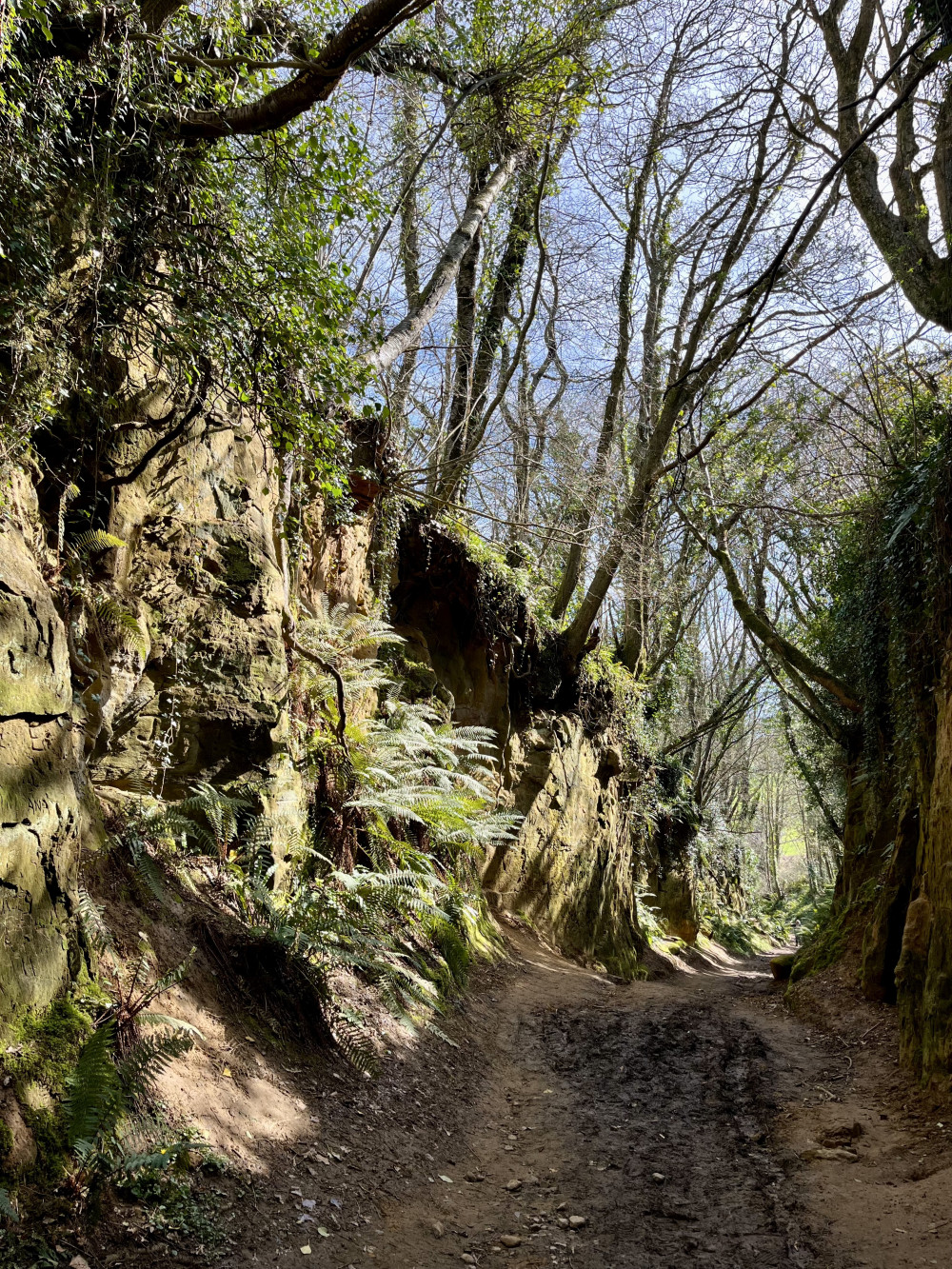 The sunken holloways of Symondsbury