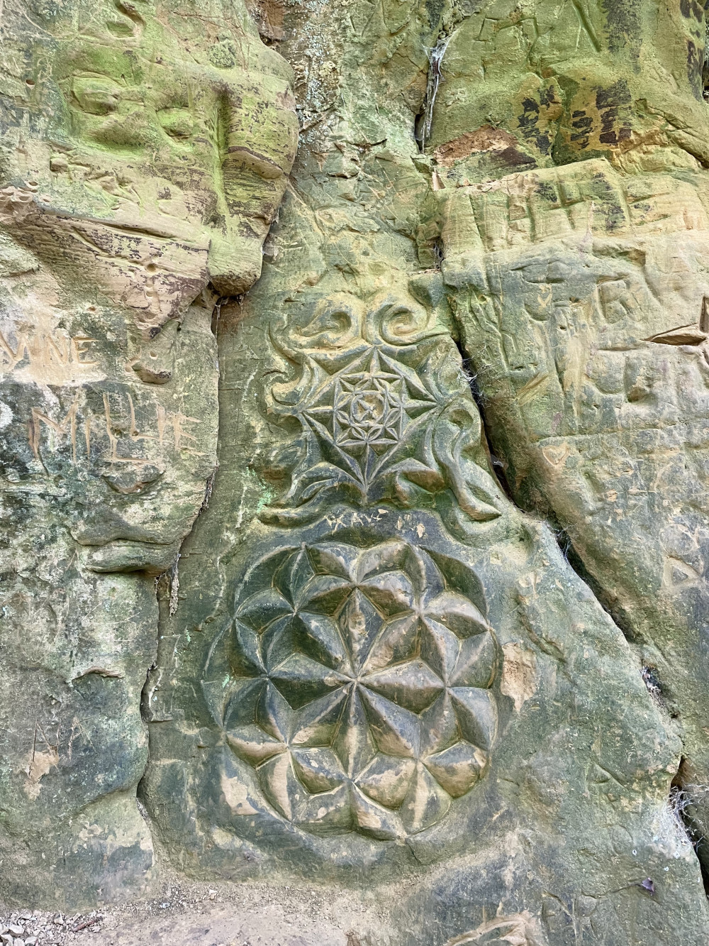 Carvings on the sandstone banks of Shute's Lane