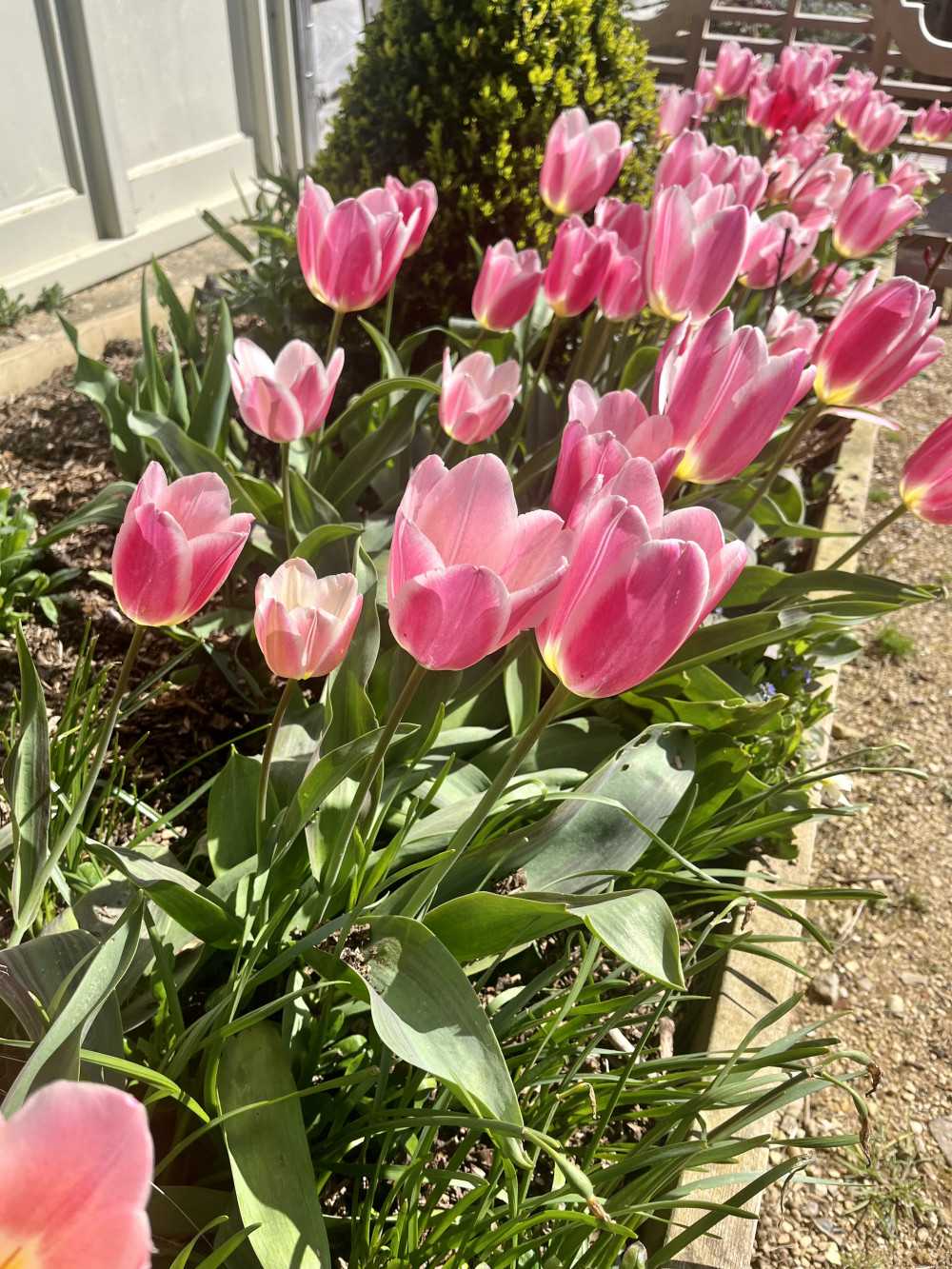 The estate was in full bloom with springtime flowers