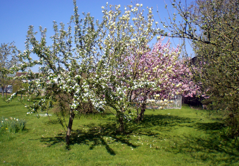 St Margaret’s Hospice Glorious Gardens 2023 – Little Orchard, East Huntspill St Margaret’s Hospice Glorious Gardens 2023 – Little Orchard, East Huntspill