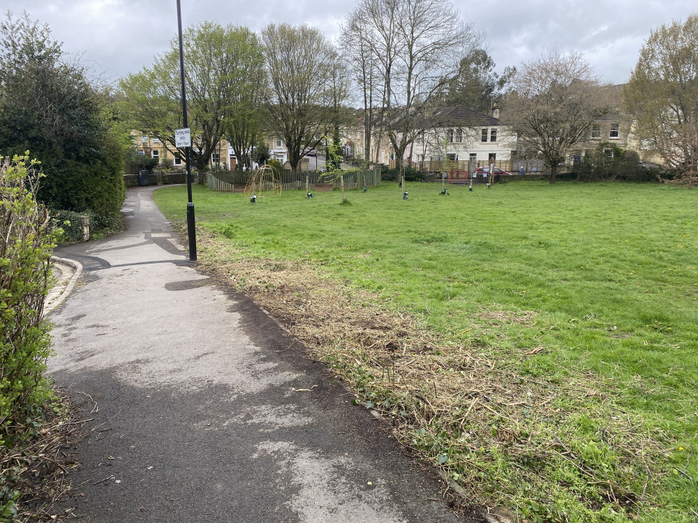 The hedge was cut completely down to the ground (Image: John Wimperis) - free to use for all partners The hedge was cut completely down to the ground (Image: John Wimperis) - free to use for all partners