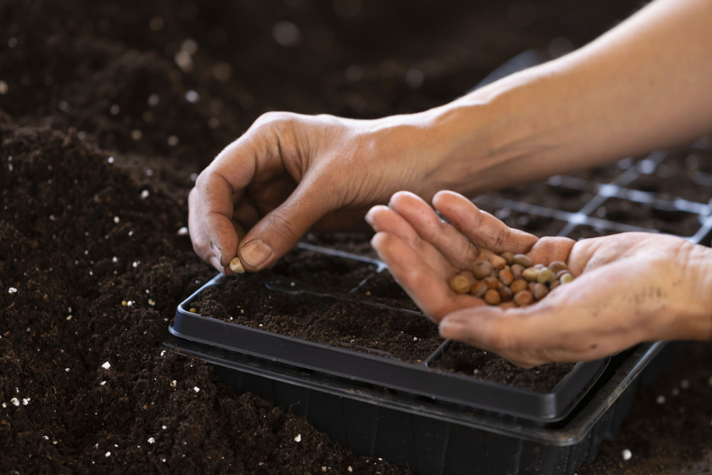 (Photo: The Soil Association's Food for Life Get Togethers programme)