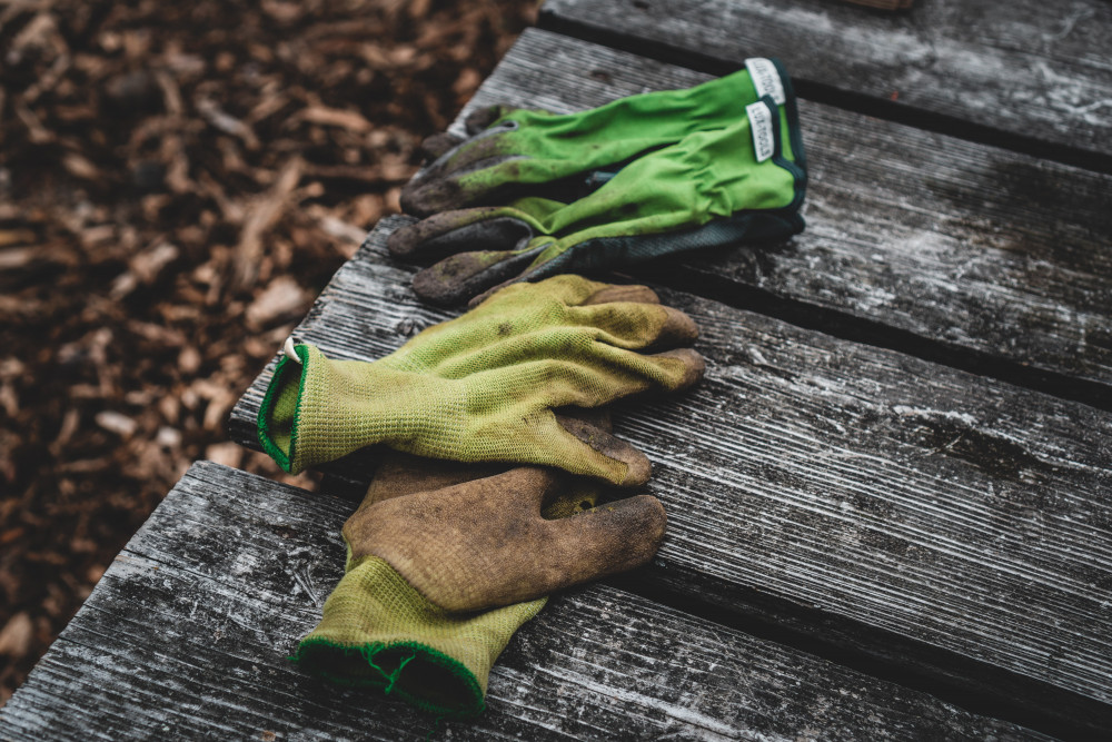 Show off your green-fingered prowess to be in with a chance of winning £100 in gardening vouchers (Credit: Unsplash) Show off your green-fingered prowess to be in with a chance of winning £100 in gardening vouchers (Credit: Unsplash)