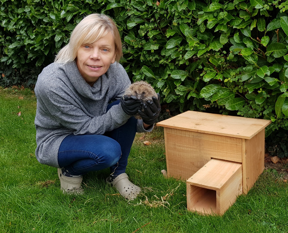 Ali Foxcroft of The Hedgehog Hut, Colyford