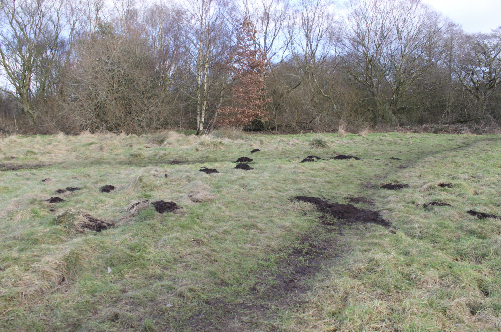 The site in South Macclesfield. 