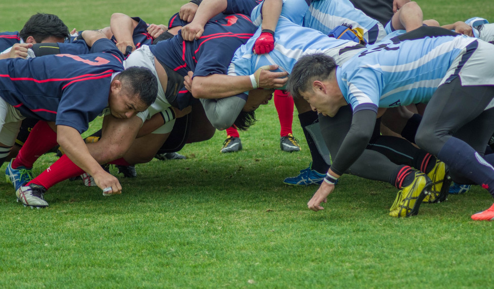 London Scottish have won their last two games. Photo: jacqueline macou from Pixabay.