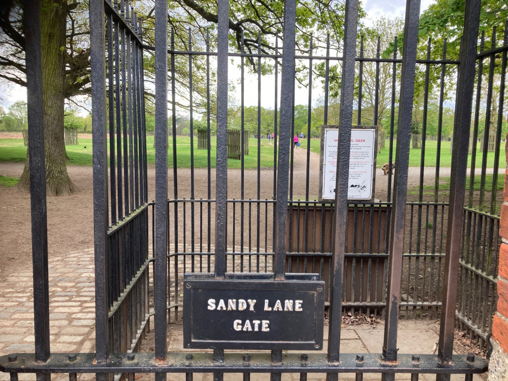 The incident took place near the Sandy Lane entrance of Bushy Park on Monday morning (Credit: Royal Parks Police) 