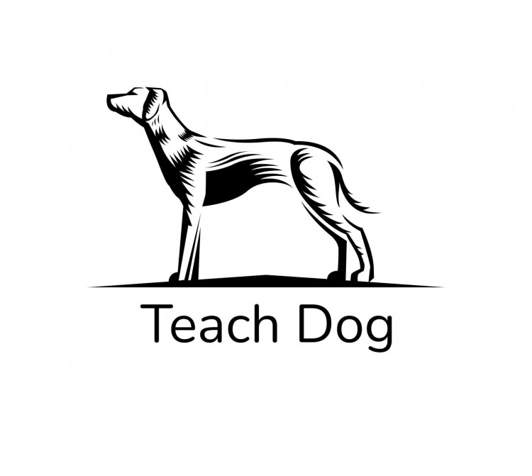 Teach Dog