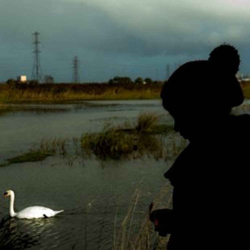 Remember to always adhere to the bird watchers code Remember to always adhere to the bird watchers code