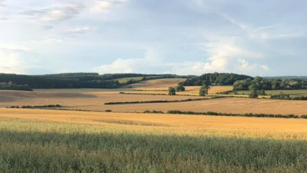 A campaigner fighting to protect Hucknall’s Whyburn Farm from new housing has called for better dialogue with the Ashfield Independents after the group’s landslide local election win. Photo Credit: Jemma Chambers.