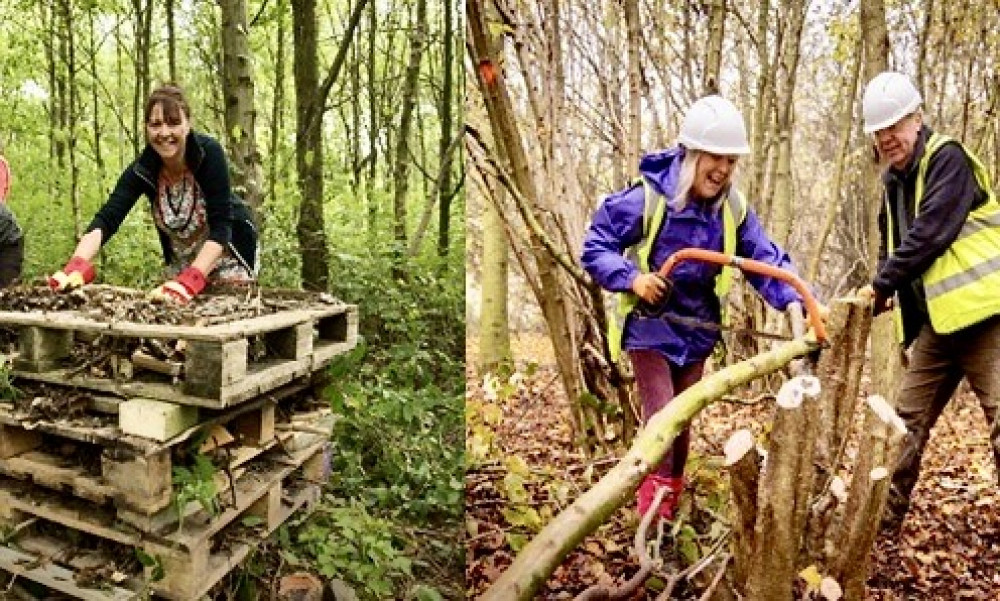 Community Woodlands Project in Coalville