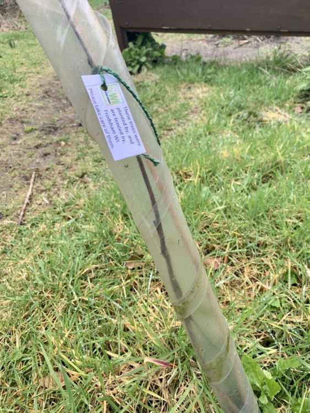 Trees planted by members of Frodsham WI Trees planted by members of Frodsham WI