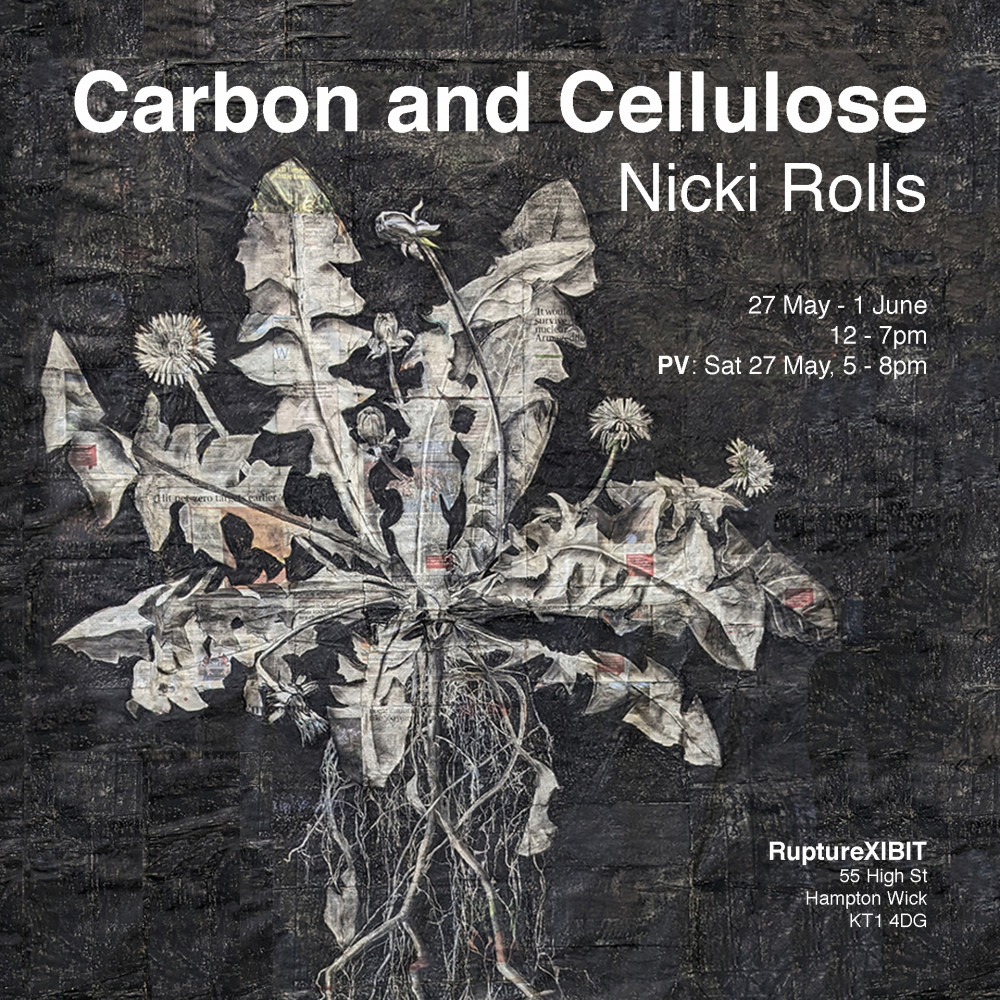 Carbon and Cellulose Carbon and Cellulose