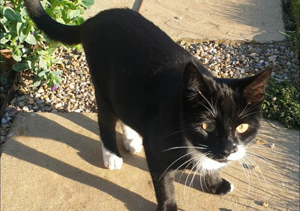 The family were delighted to welcome Mo home. Image credit: Stephanie Tennant. 