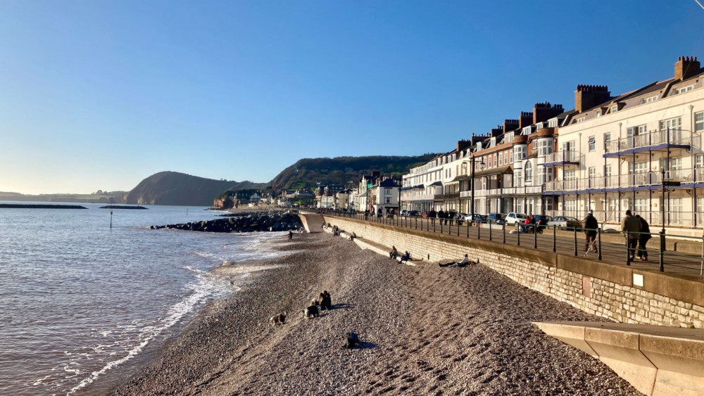 Sidmouth town beach (Nub News/ Will Goddard)