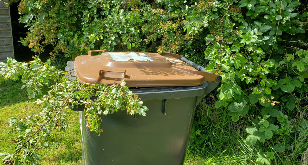 A stuffed Cheshire East garden waste bin. 