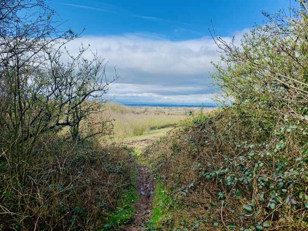 Looking out towards Moel Famau Looking out towards Moel Famau