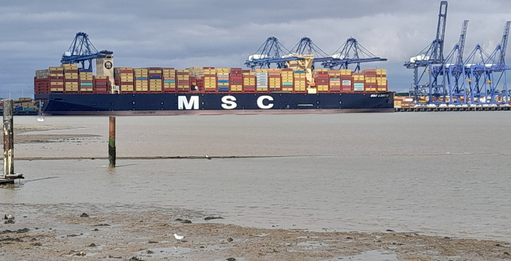 MSC Loreto (Picture: Nub News)