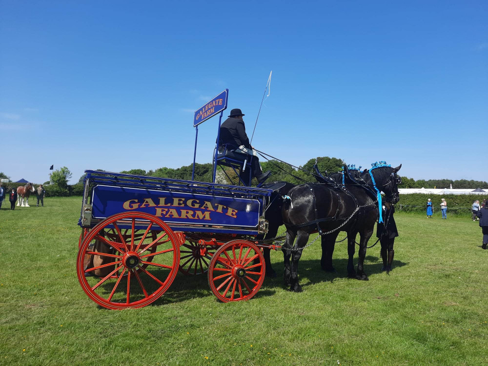 The heavy horses were on display, as well as many other rural trades and traditions. Image credit: Nub News. 