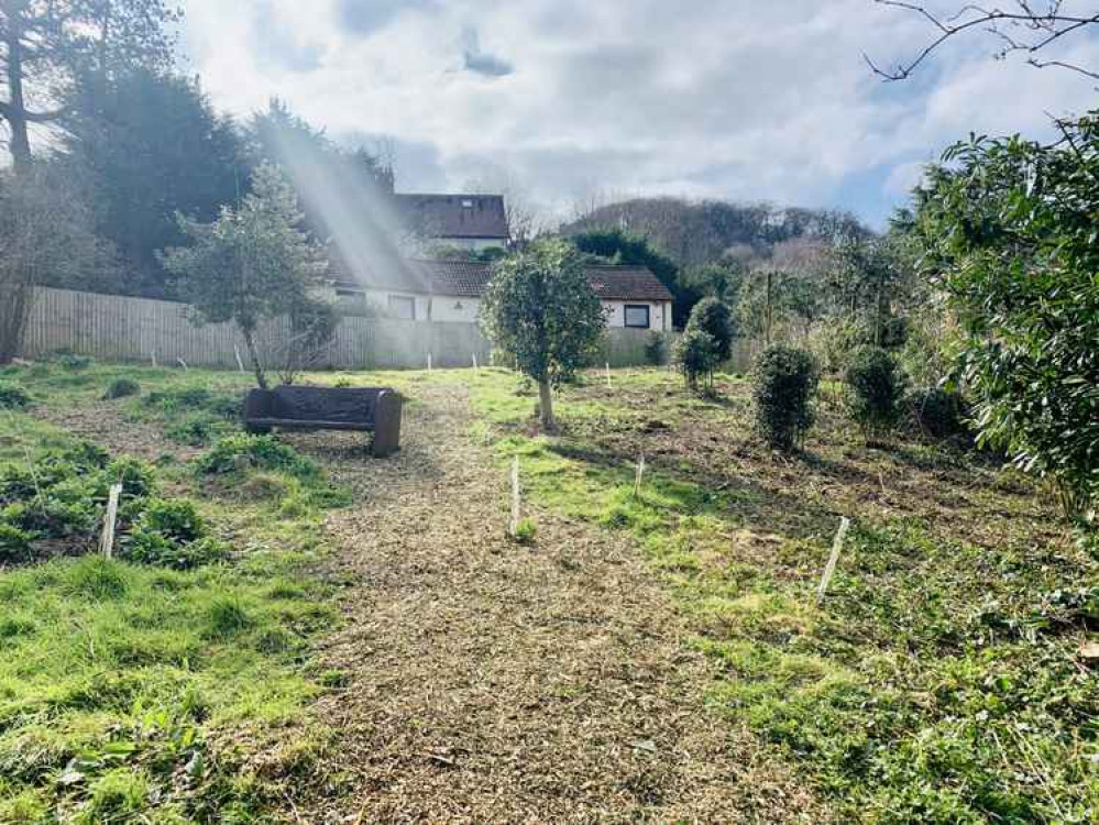 Manley Road Copse on 22 March 2021 Manley Road Copse on 22 March 2021