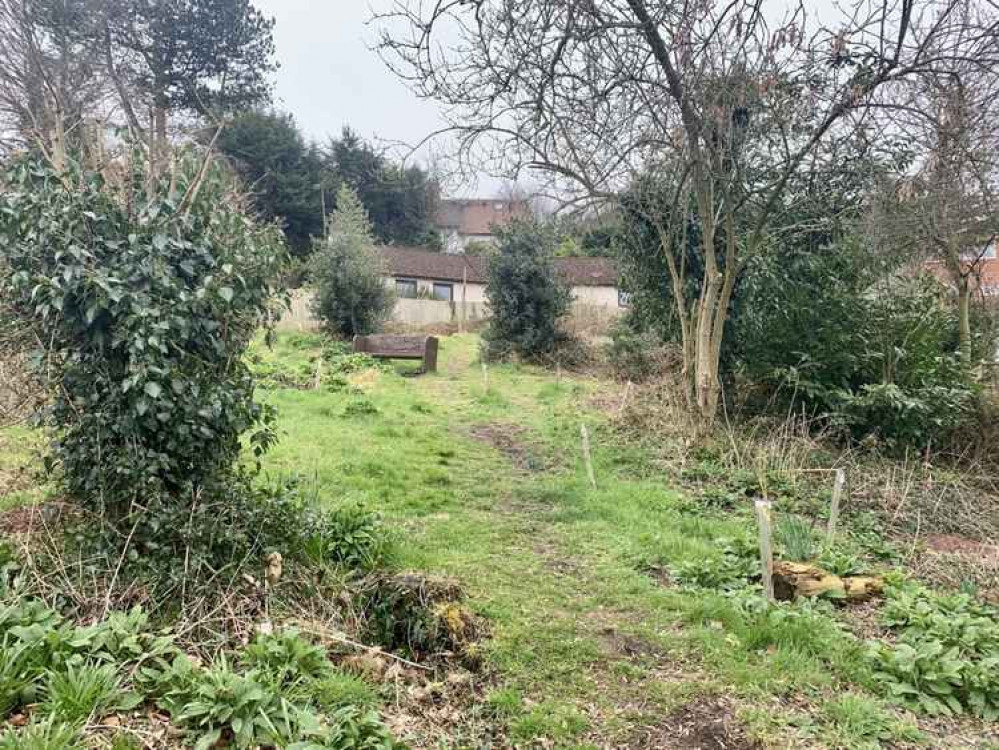 Manley Road Copse on 18 March 2021 Manley Road Copse on 18 March 2021