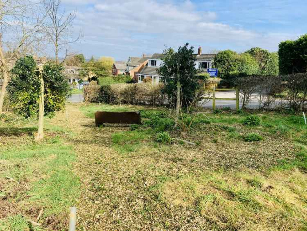 Manley Road Copse on 22 March 2021 Manley Road Copse on 22 March 2021