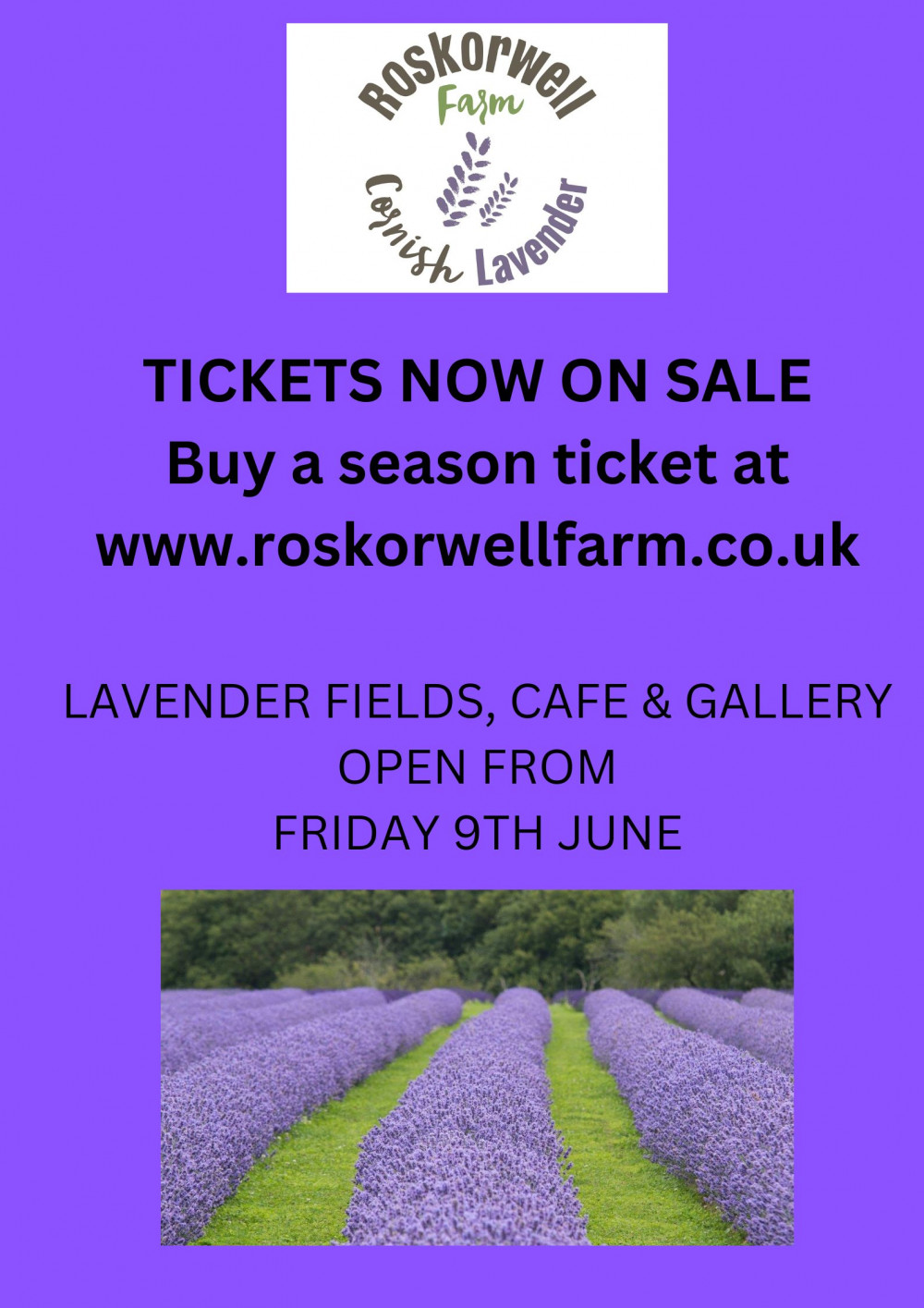 Roskorwell Farm Cornish Lavender Roskorwell Farm Cornish Lavender