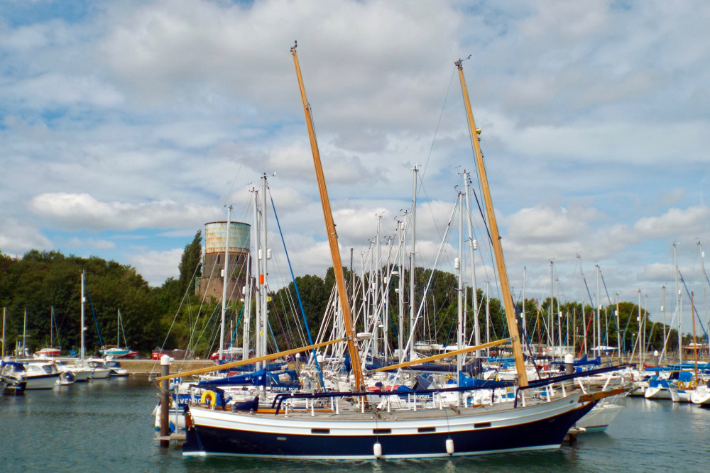 Barn Owl marina (Picture: Nub News)