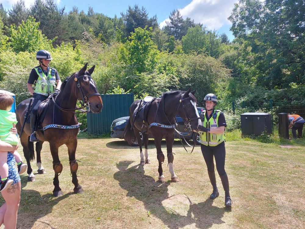 Even the horses seemed happy to be there 