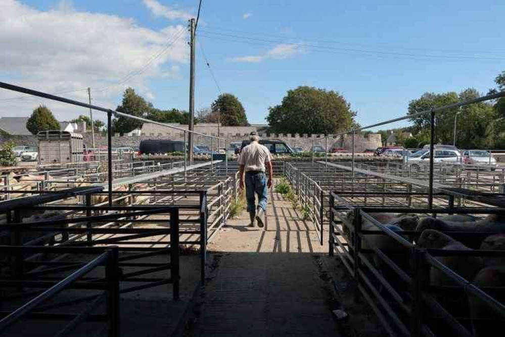 The last farmer leaves Cowbridge Cattle Market (by Glyn Evans)