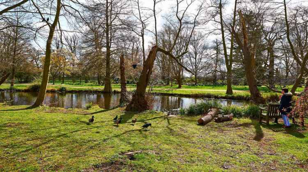 The Royal Parks Police and the London Fire Brigade are urging visitors to Bushy and Richmond Park, and parklands across London, to act safely and responsibly this weekend after the first Heat-Health Alert of the year was issued for the capital (Credit: Nub News)