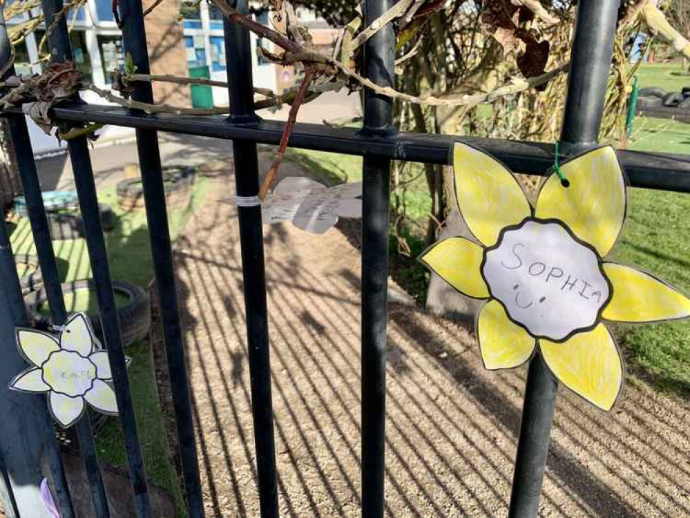 Reflection daffodils at Kingsley St John's Primary School Reflection daffodils at Kingsley St John's Primary School