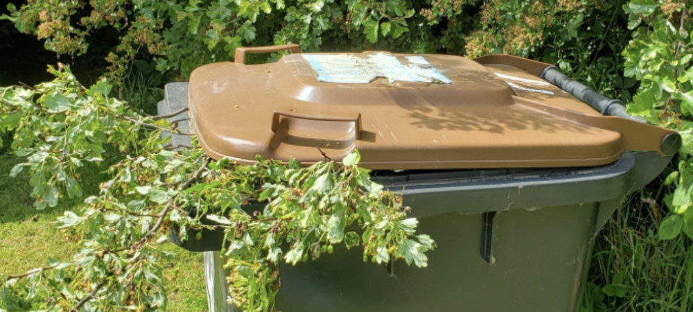 Plans to introduce the green bin waste charges were voted through as part of Cheshire East's budget in February (LDRS). Plans to introduce the green bin waste charges were voted through as part of Cheshire East's budget in February (LDRS).