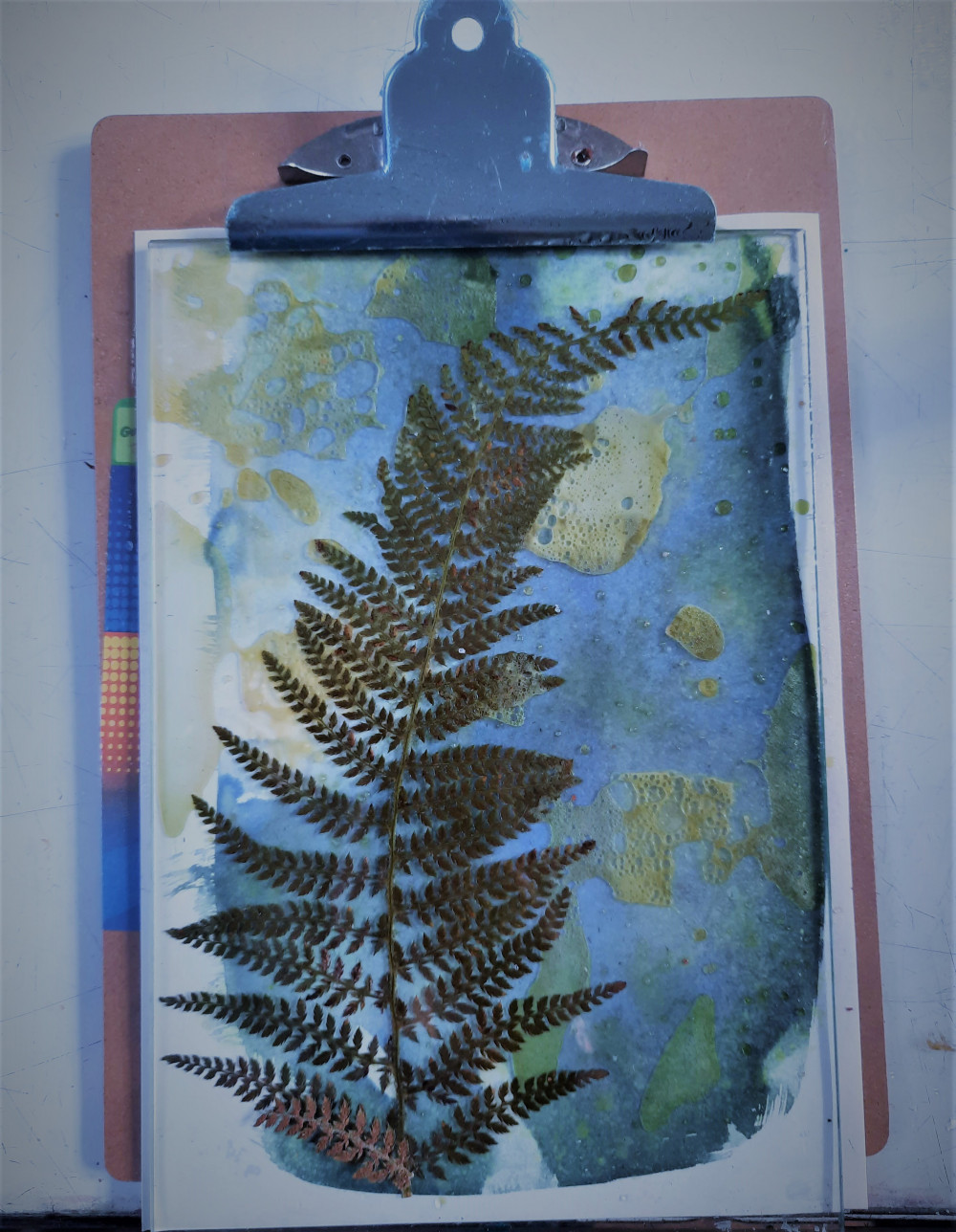 Cyanotype: Introduction to Sun-printing: 1-day Cyanotype: Introduction to Sun-printing: 1-day
