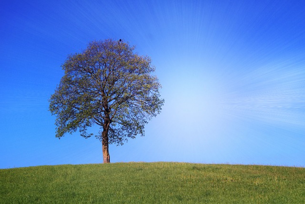 Public Health at Warwickshire County Council wish to issue important health advice ahead of the heat conditions expected for Warwickshire over the coming week