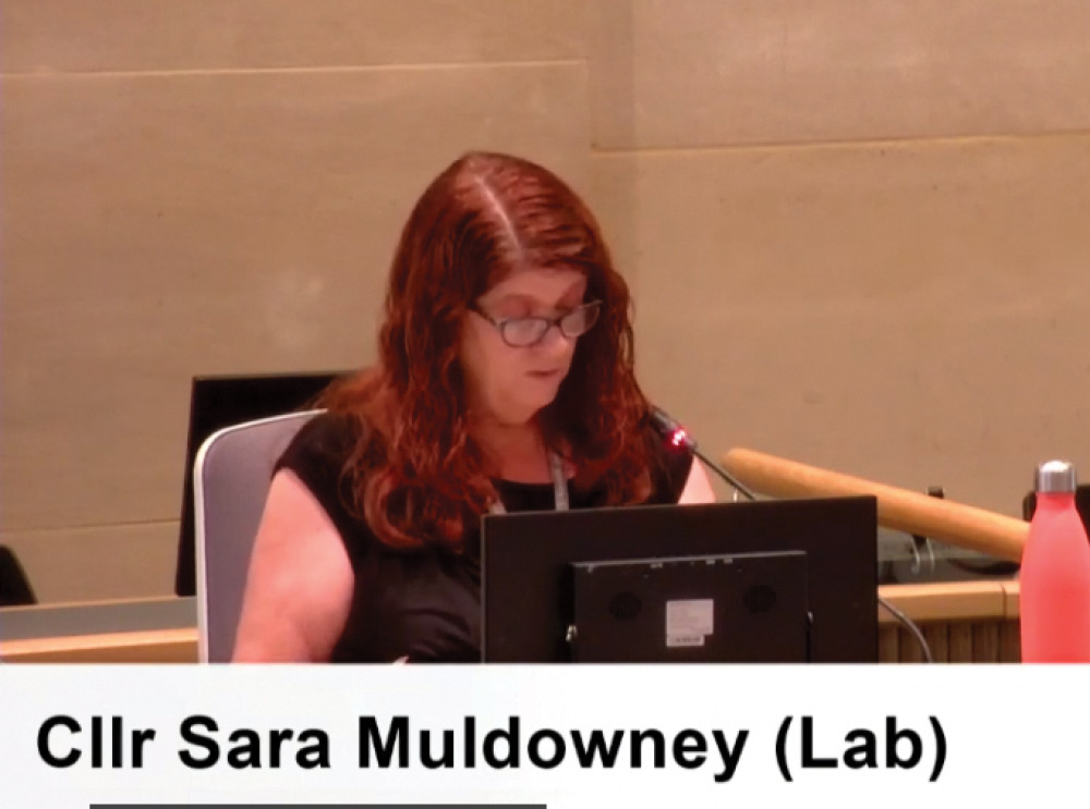 Cllr Sarah Muldowney speaking at the children's O&S meeting