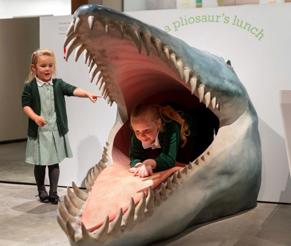 Children playing with the Pliosaur slide (photo credit: Fernando Manoso/Dorset Museum)