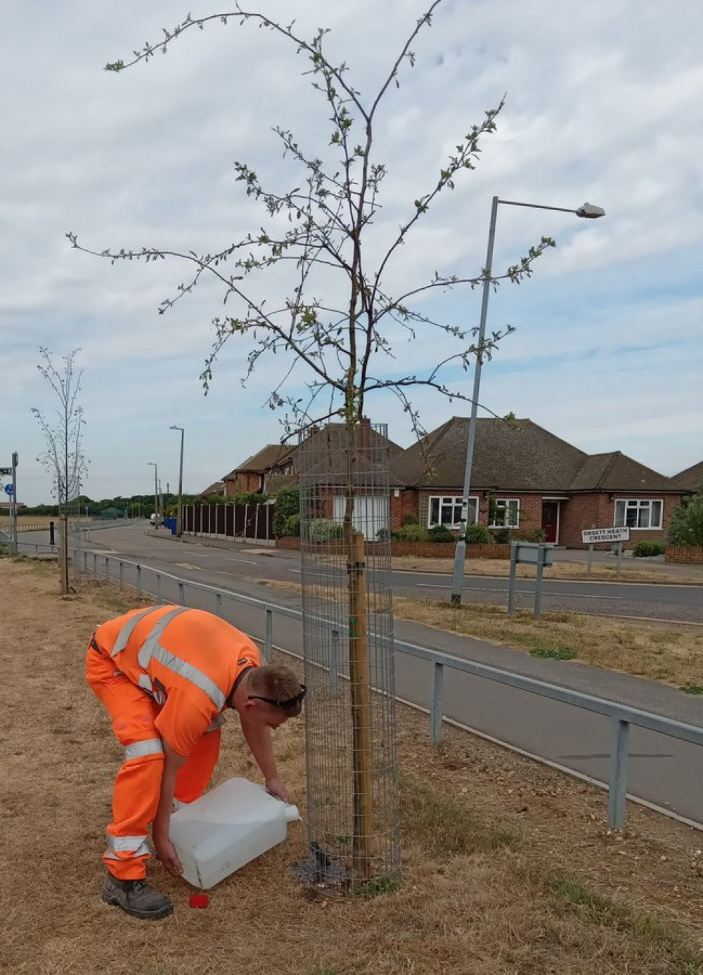 Council staff are working hard to keep trees watered. 