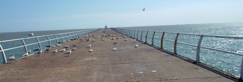 Speak up for Felixstowe (Picture: Nub News)