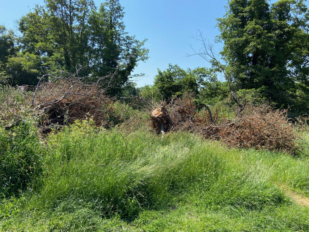 Town council left riverside walk in mess (Picture: Contributed)