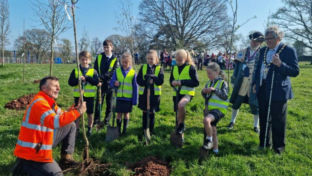 Planting the trees (Exmouth Town Council)