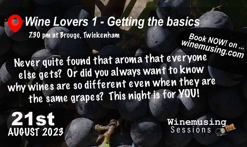 Wine Lovers 1 - Getting the basics Wine Lovers 1 - Getting the basics
