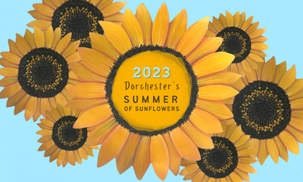 Get. ready for Dorchester's summer of sunflowers