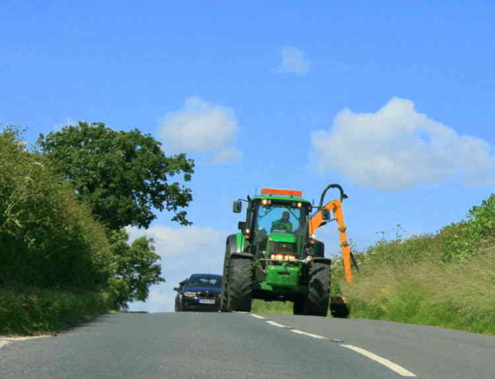 Verge cutting will start in May around Cheddar (Photo: Maurice Pullin)