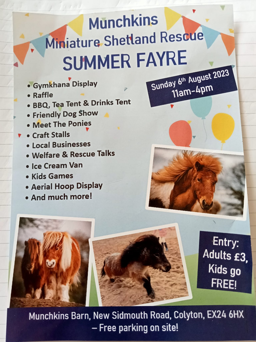 Munchkins Miniature Shetland Rescue Summer Fayre Munchkins Miniature Shetland Rescue Summer Fayre
