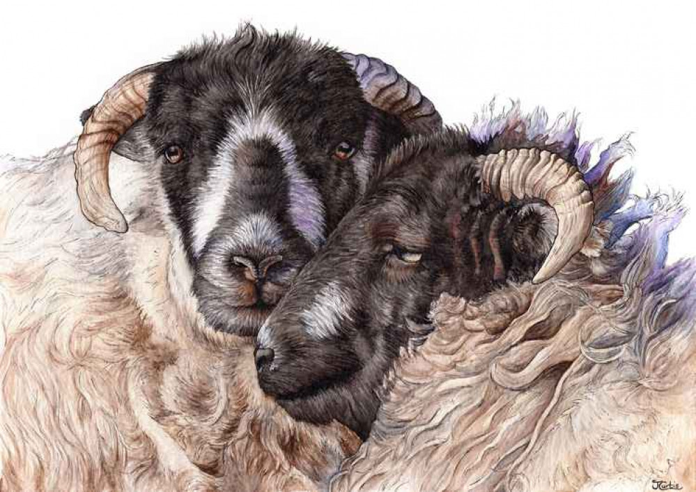 'Close Knit' by Jasmine Curtis 'Close Knit' by Jasmine Curtis