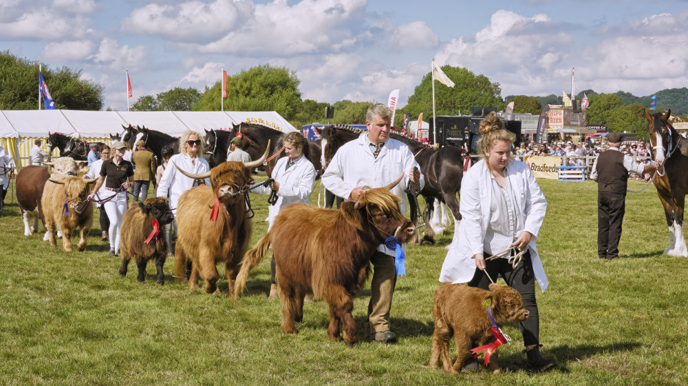 Melplash Agricultural Show Melplash Agricultural Show