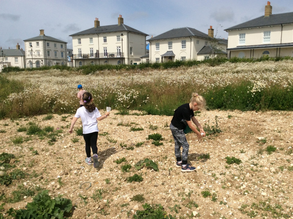 Children from Damers School sow their wildflower seeds on The Great Field, next to the school