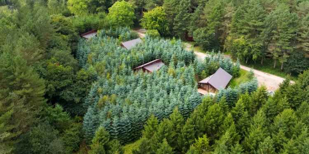 Forest Holidays cabins in Delamere Forest. Image: Forest Holidays Forest Holidays cabins in Delamere Forest. Image: Forest Holidays